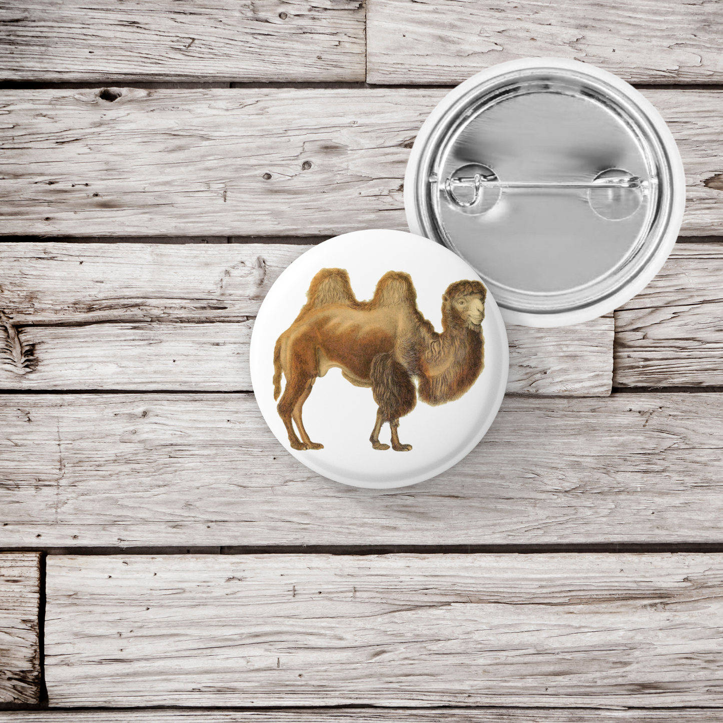 Camel Pin Back Button, Magnet, Keychain