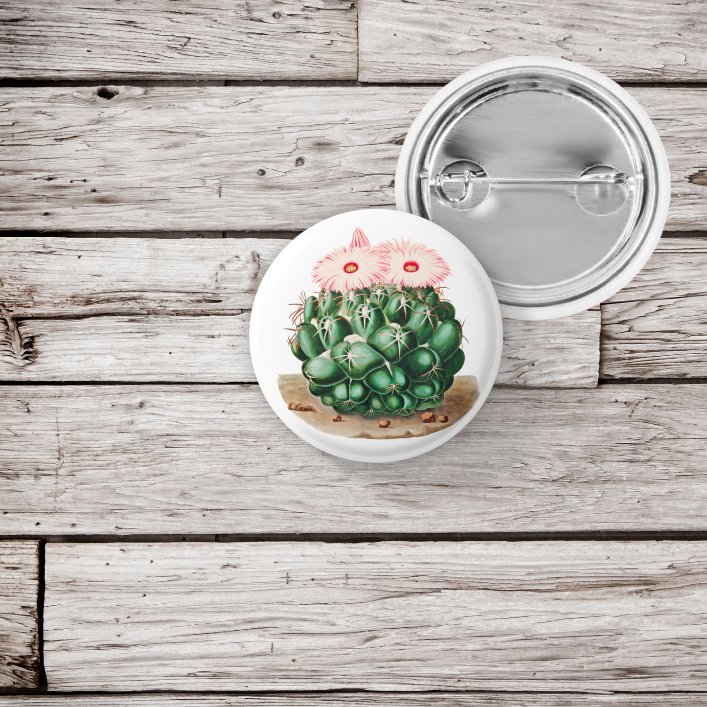 Cactus Pin Back Button, Magnet, Keychain