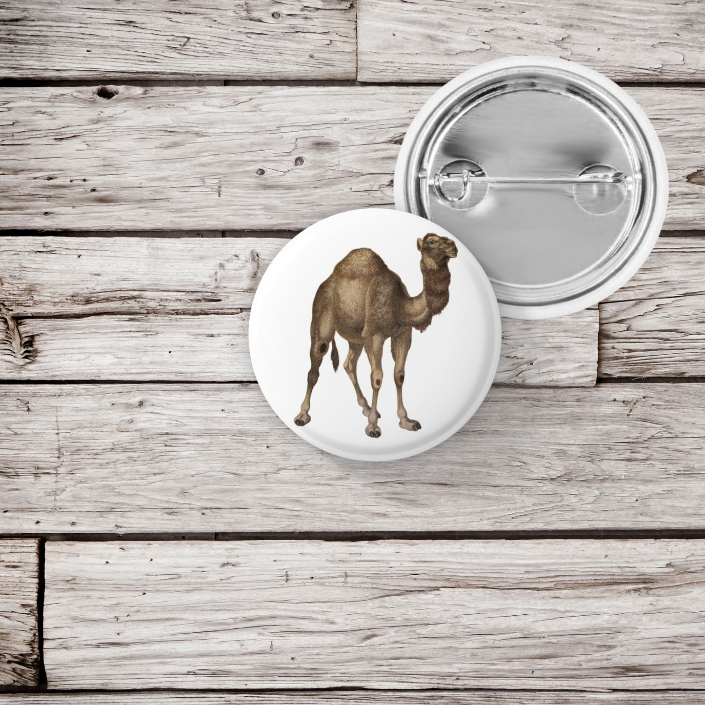 Camel Pin Back Button, Magnet, Keychain