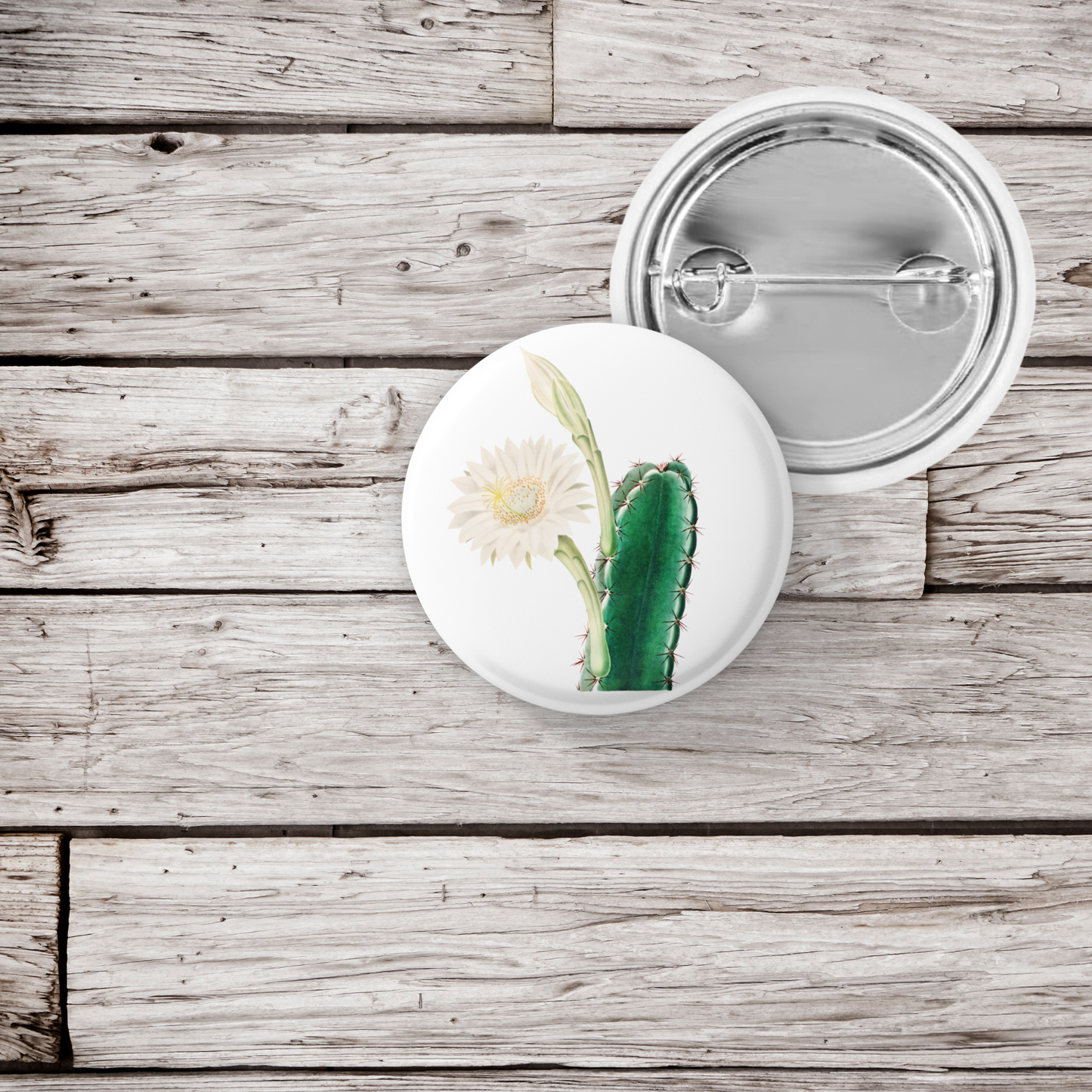 Cactus Pin Back Button, Magnet, Keychain