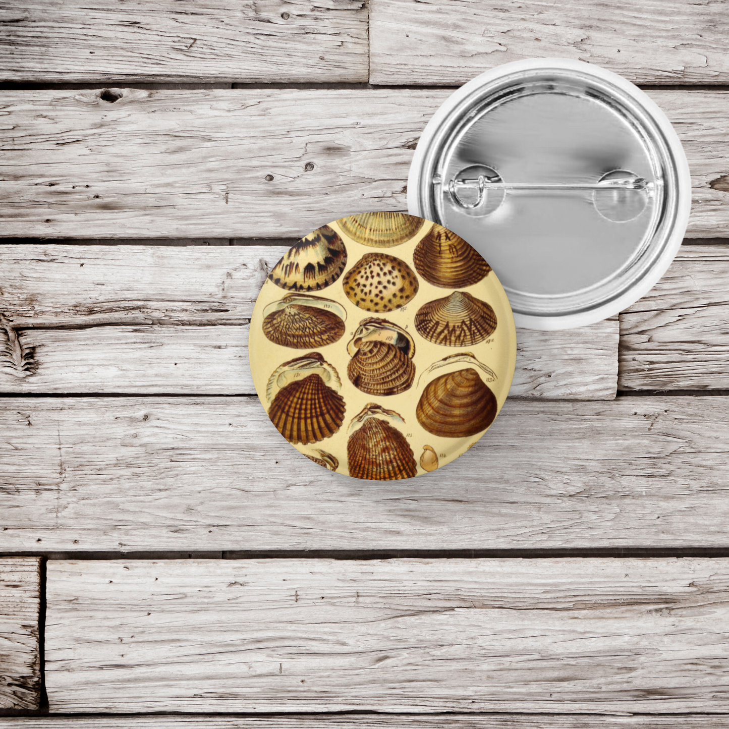 Clam Shells Pin Back Button, Magnet, Keychain
