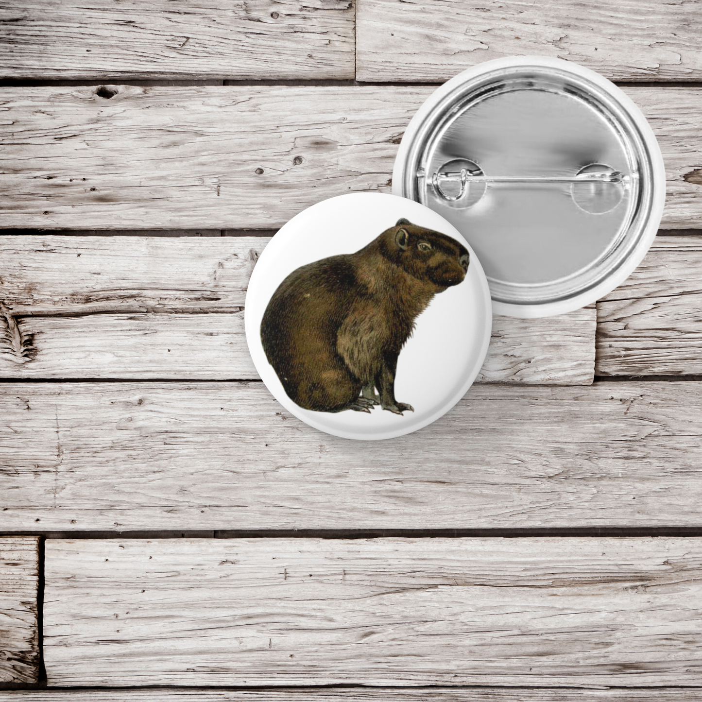 Capybara Pin Back Button, Magnet, Keychain