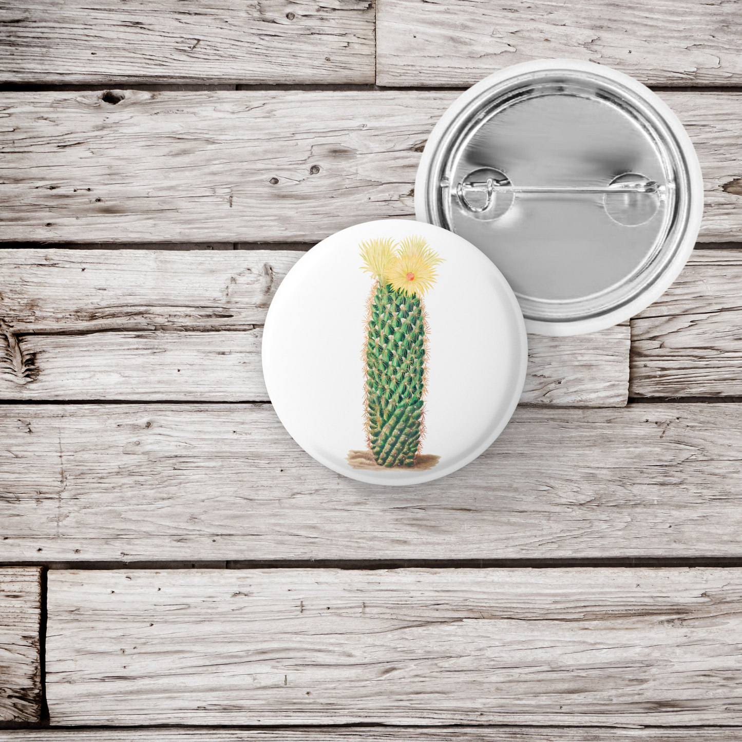 Cactus Pin Back Button, Magnet, Keychain