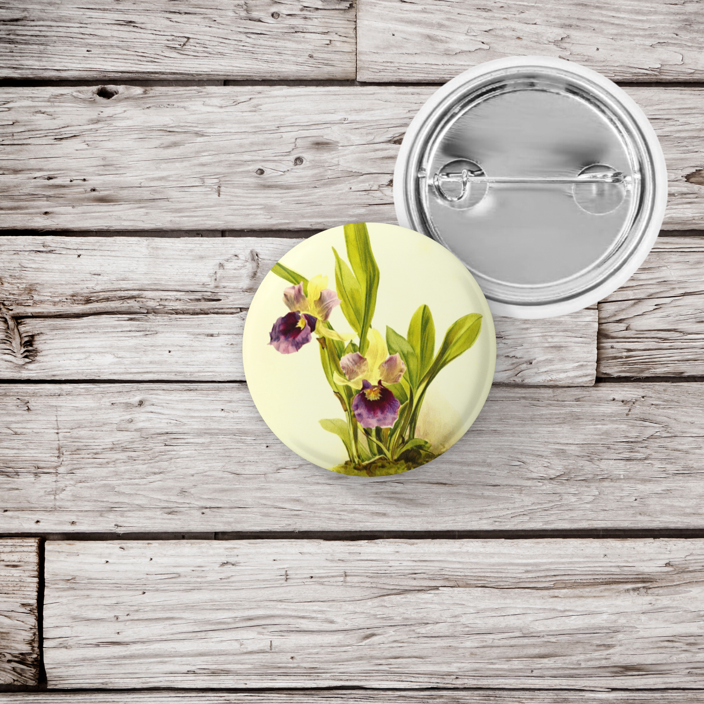 Zygopetalum Orchid Flower Orchid Pin Back Button, Magnet, Keychain