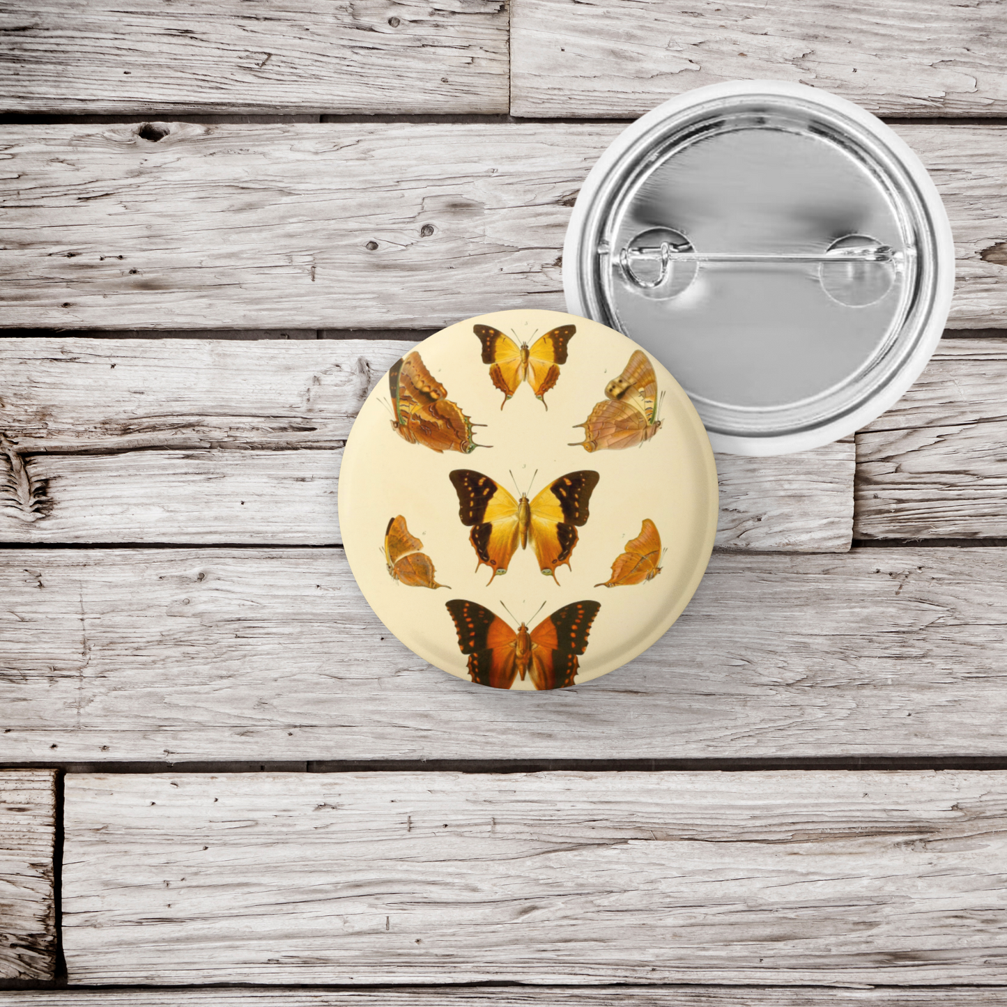 Butterfly Pin Back Button, Magnet, Keychain