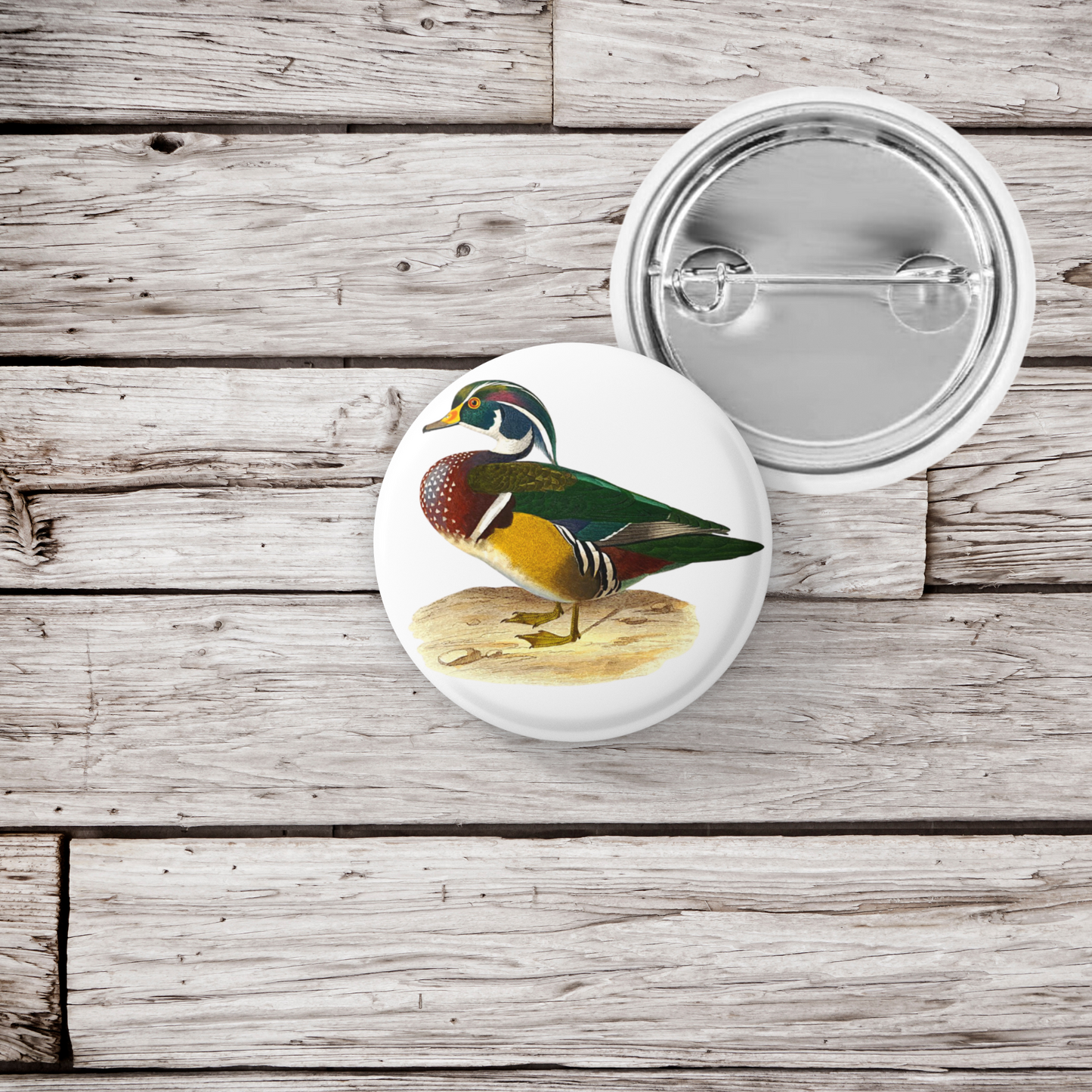 Wood Duck Pin Back Button, Magnet, Keychain