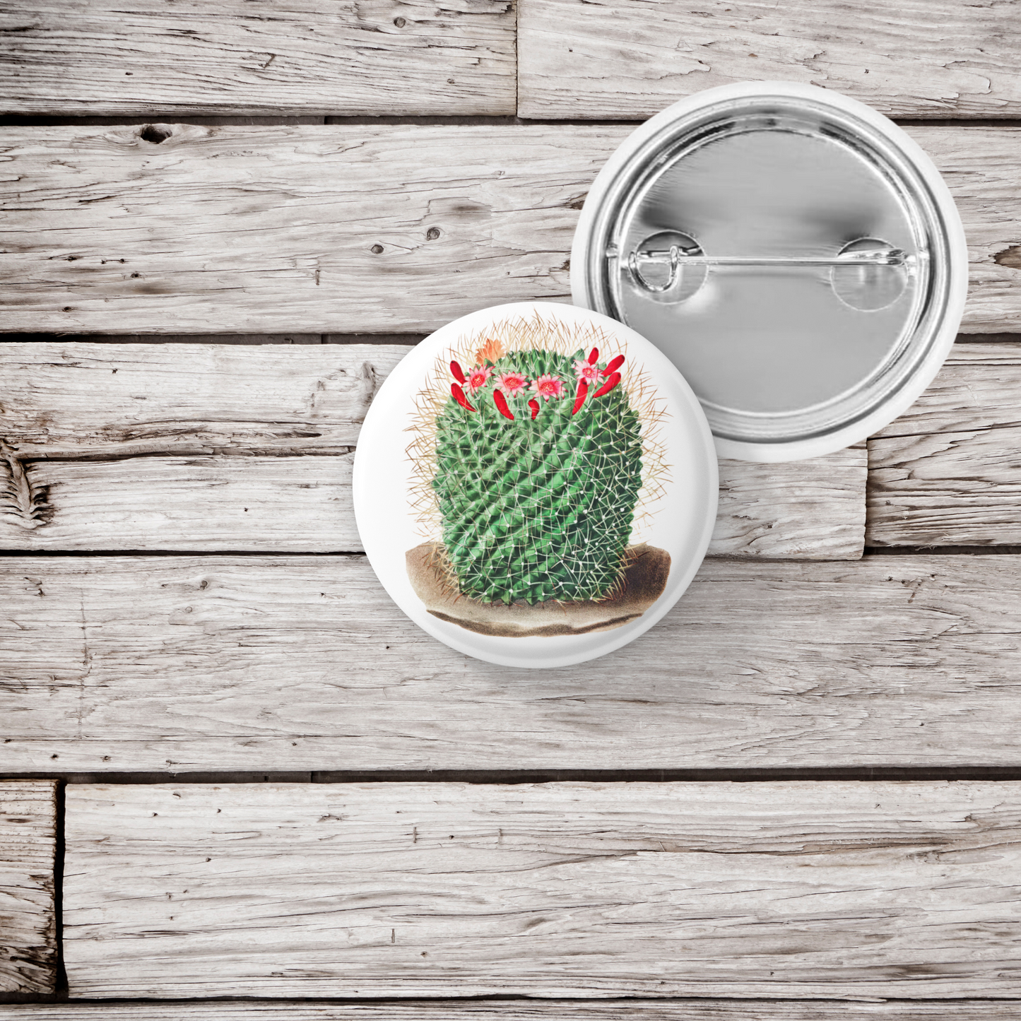 Cactus Pin Back Button, Magnet, Keychain