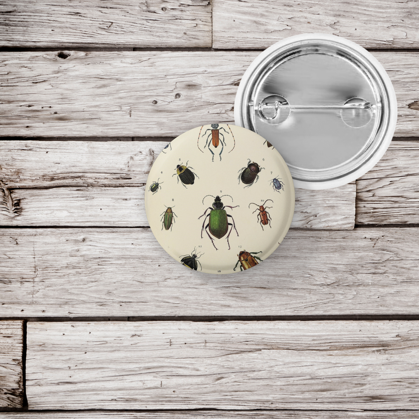 Beetle Pin Back Button, Magnet, Keychain