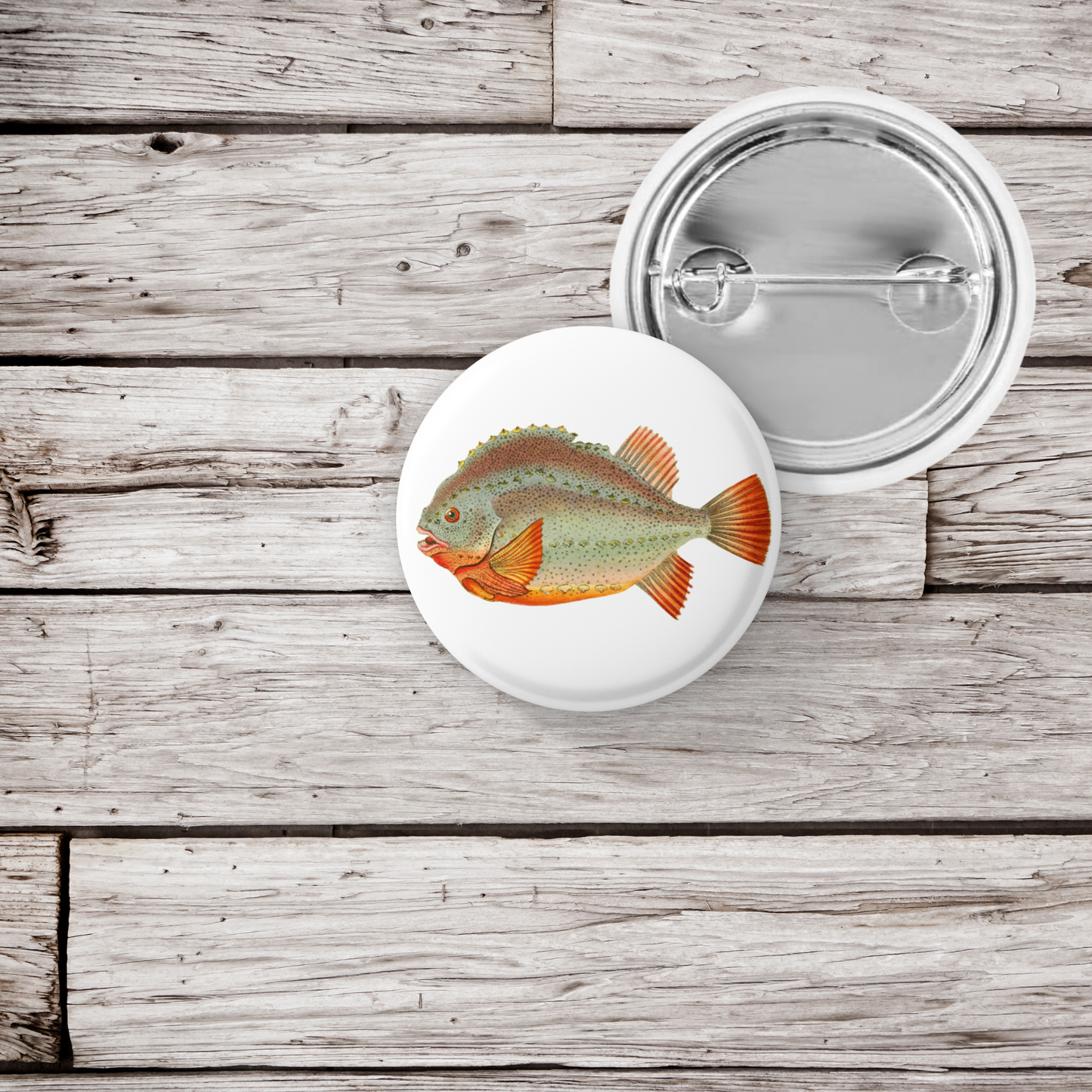Lumpfish, Cyclopterus Lumpus Sticker Pin Back Button, Magnet, Keychain