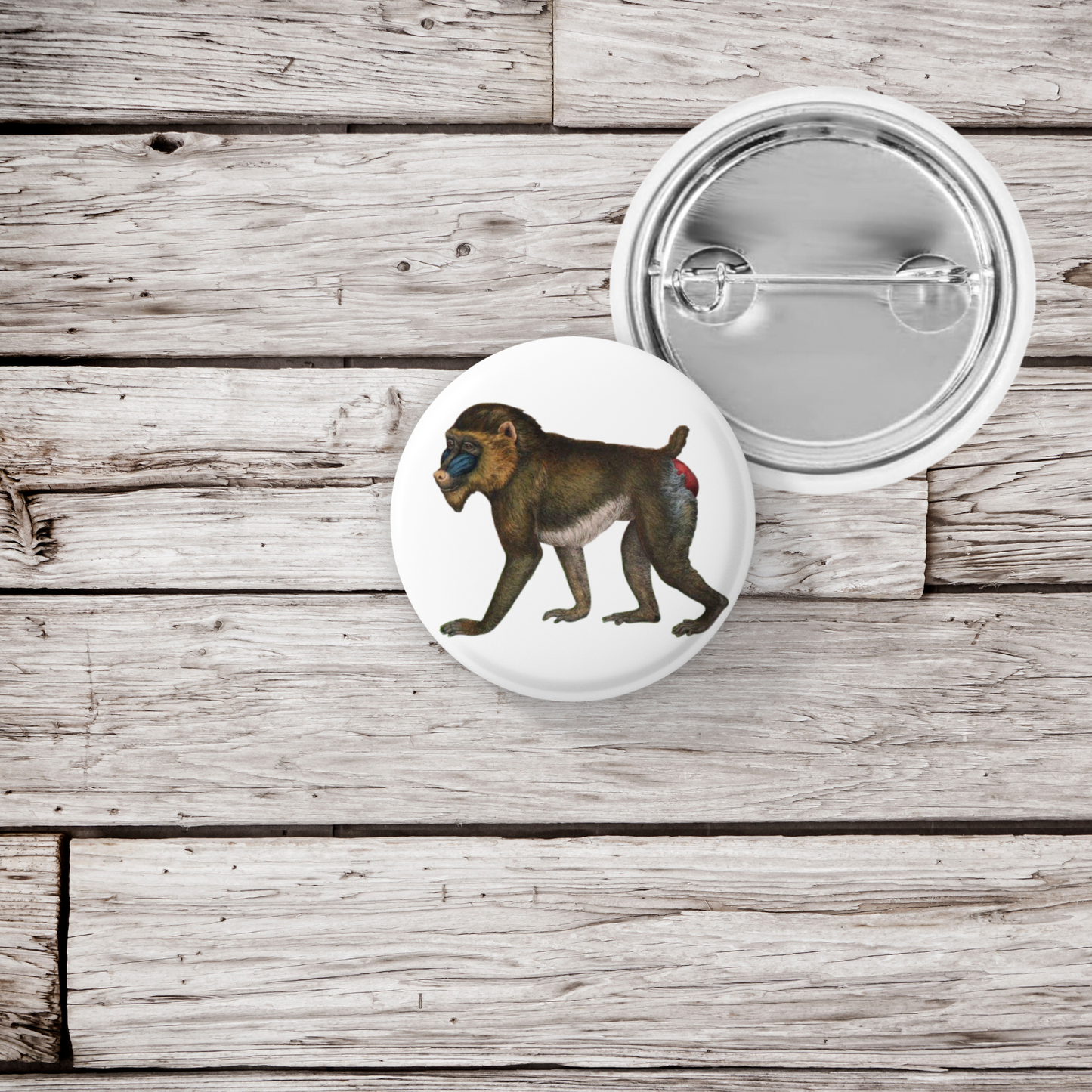 Baboon Pin Back Button, Magnet, Keychain