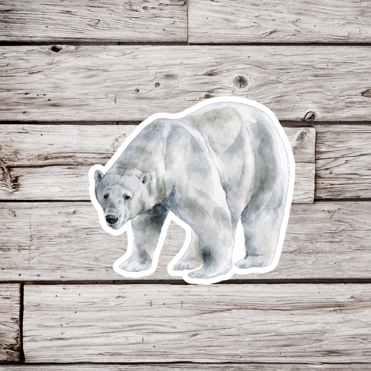 Polar Bear Sticker