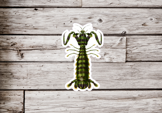Praying Mantis Sticker