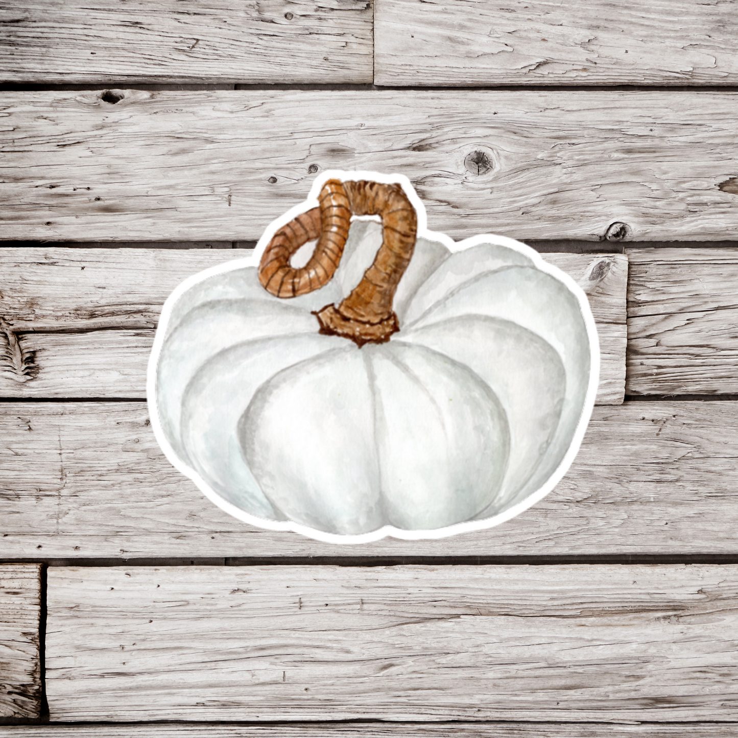 White Pumpkin Sticker