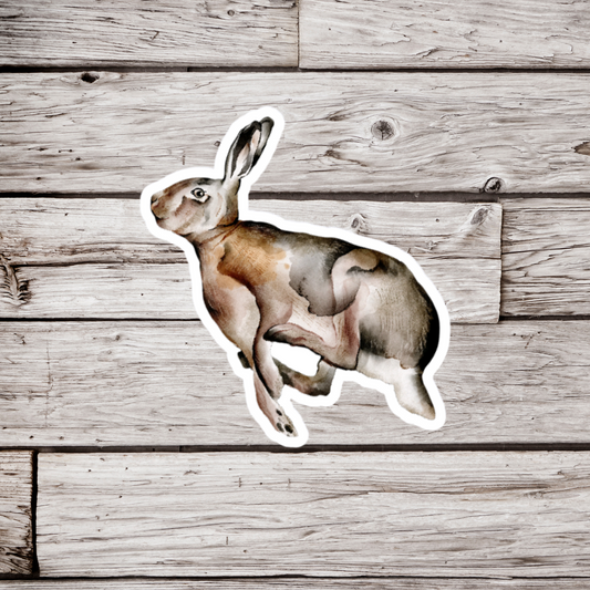 Rabbit Sticker