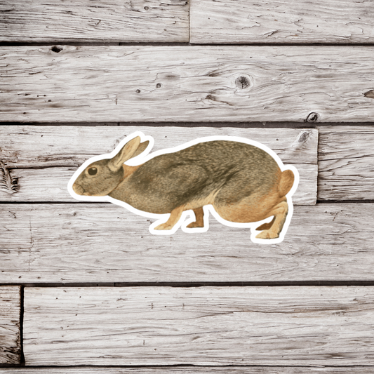 Rabbit Sticker