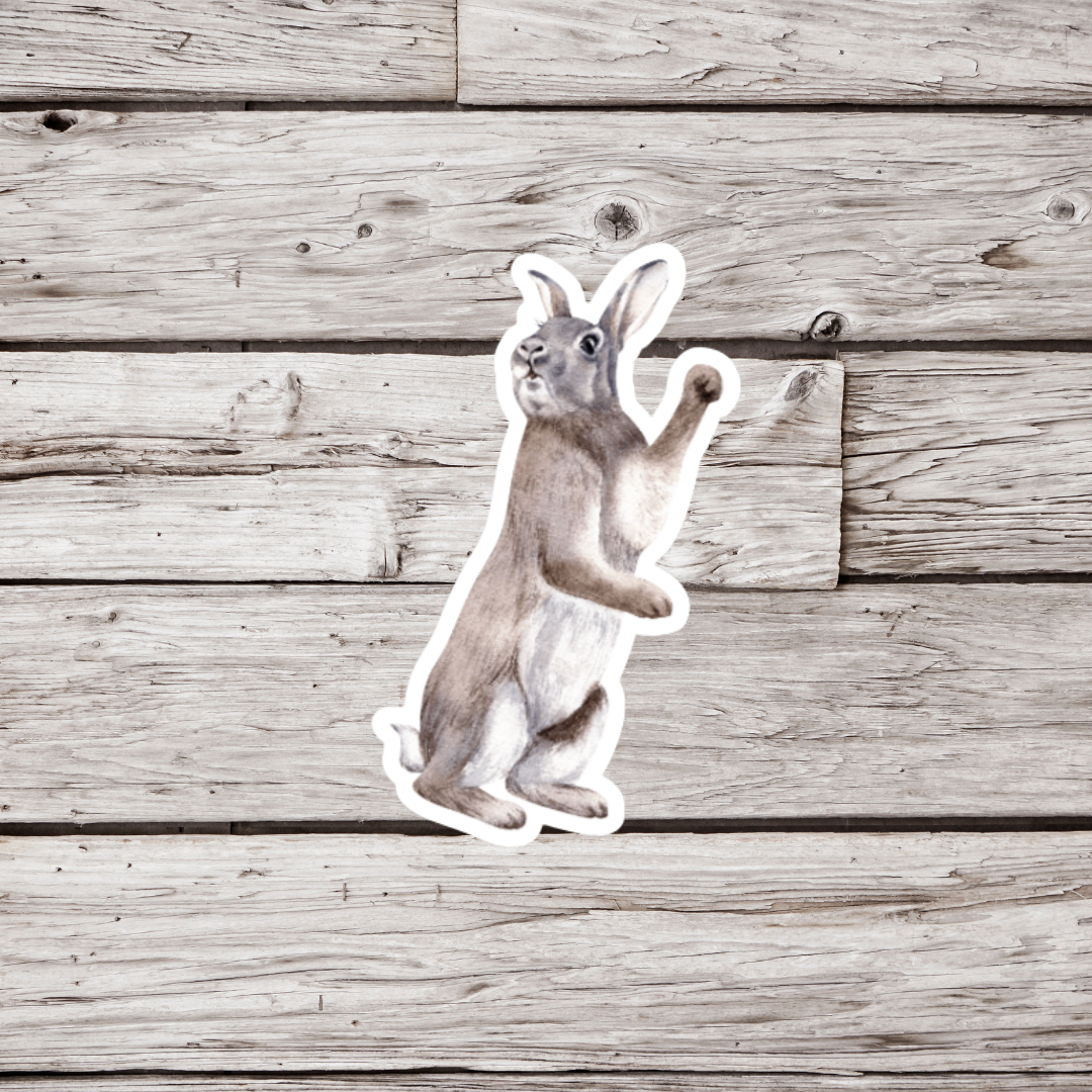 Rabbit Sticker