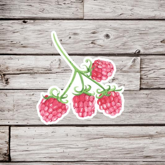 Raspberries Sticker or Magnet