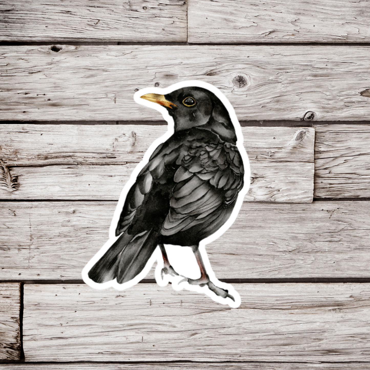 Raven Sticker