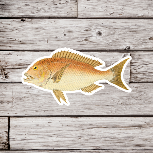 Red Snapper Sticker