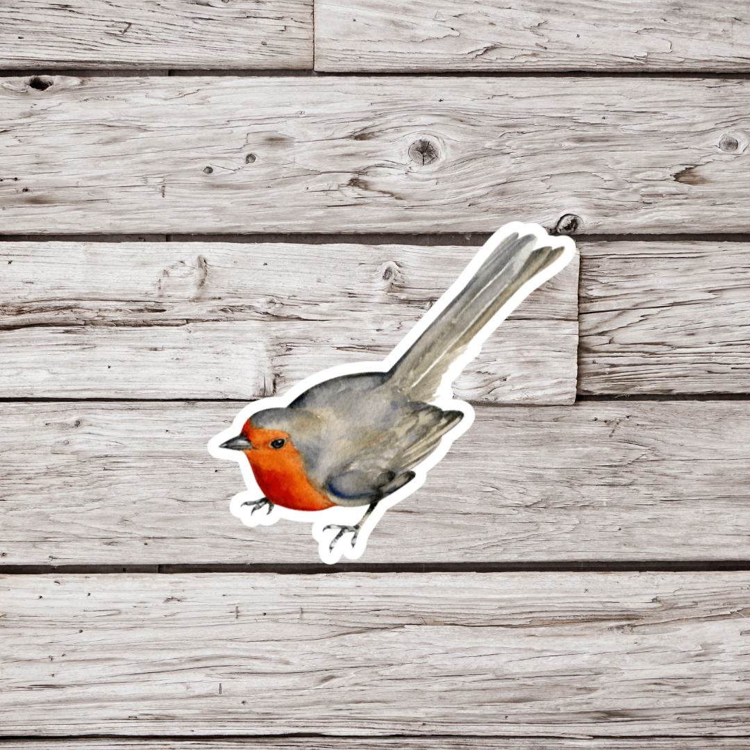 Robin Sticker