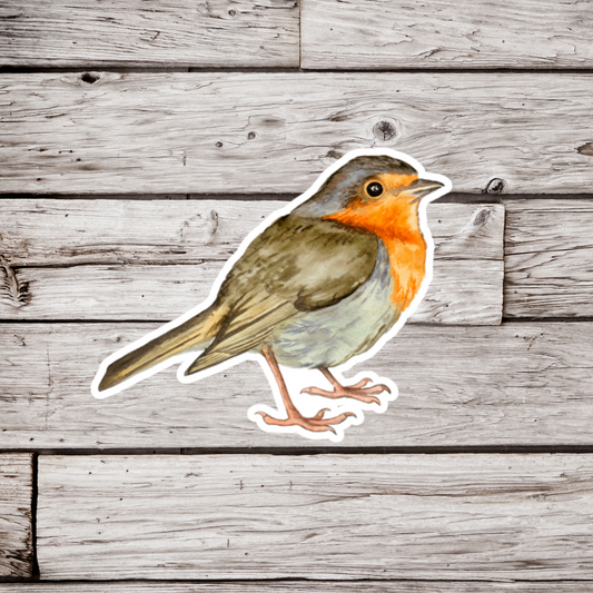 Robin Sticker
