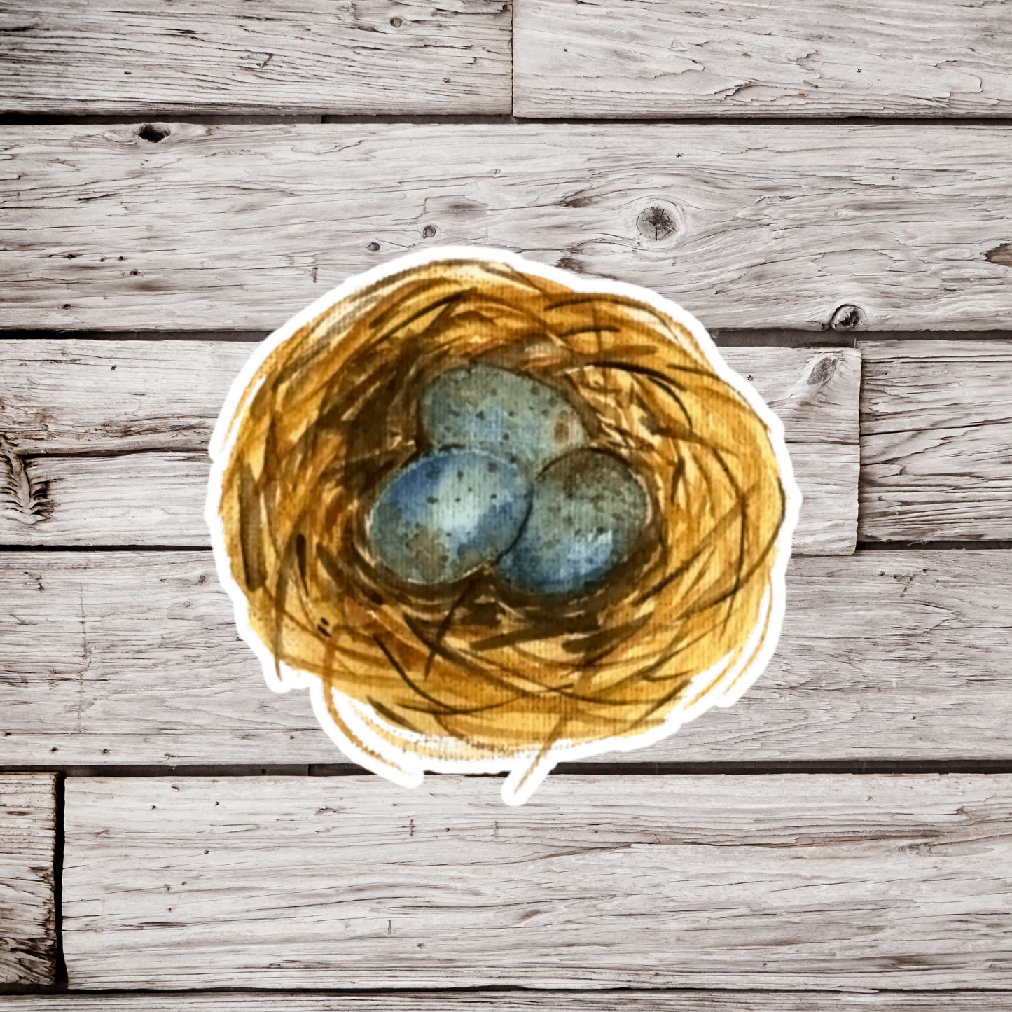 Birds Nest Sticker
