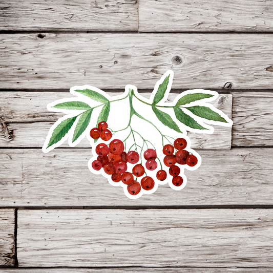 Rowan Berries Sticker