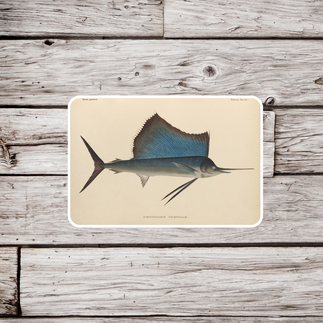 Sailfish Sticker