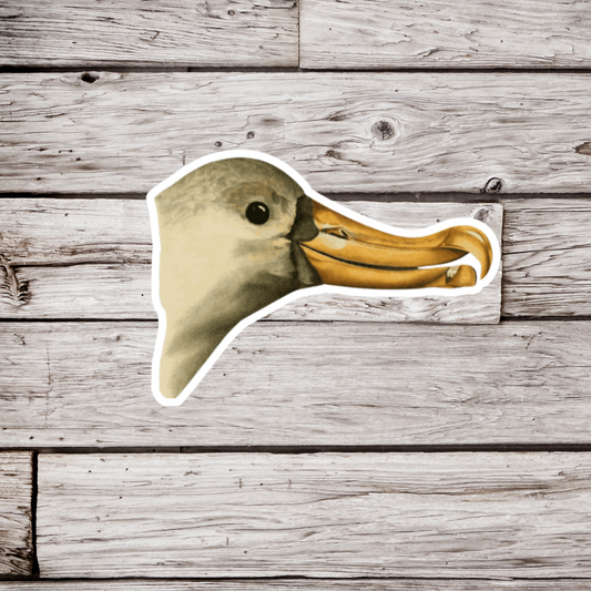 Sea Gull Head Sticker