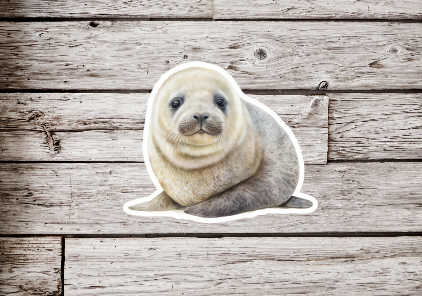 Sea Pup Sticker
