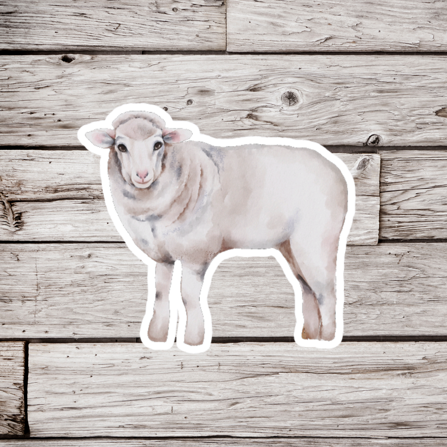Sheep Sticker
