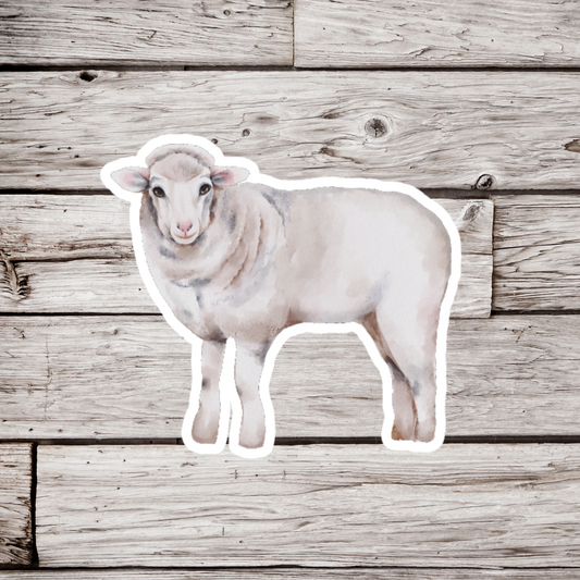 Sheep Sticker