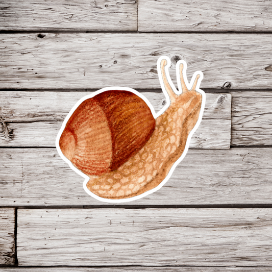 Snail Sticker