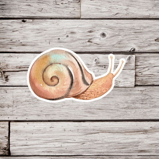 Snail Sticker