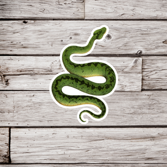 Green Snake Sticker