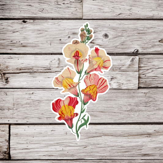 Snapdragon Sticker