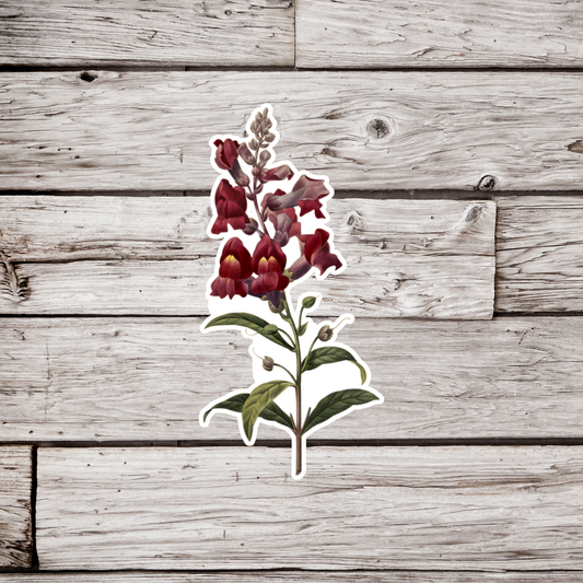 Snapdragon Sticker