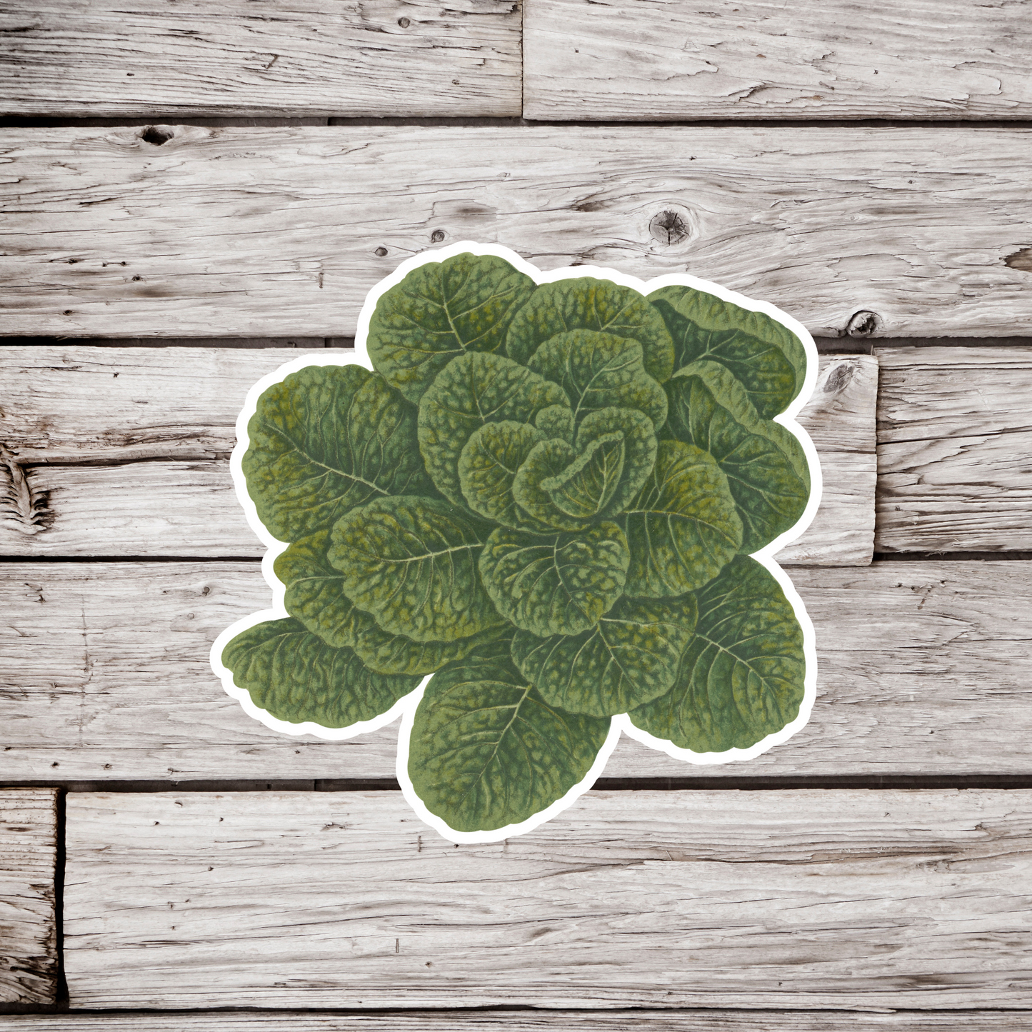 Spinach Sticker