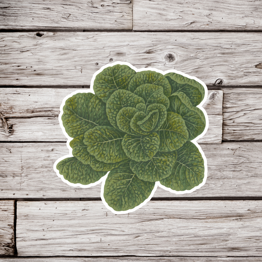 Spinach Sticker