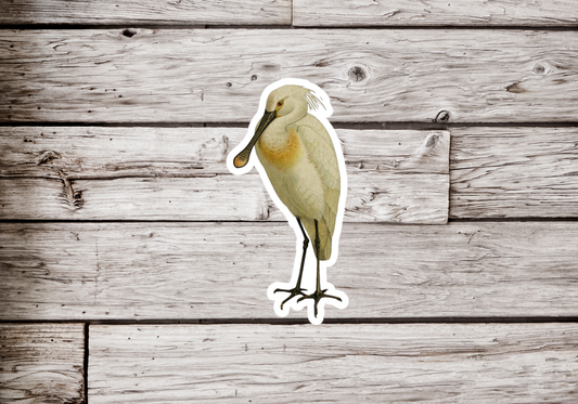 Spoonbill Sticker