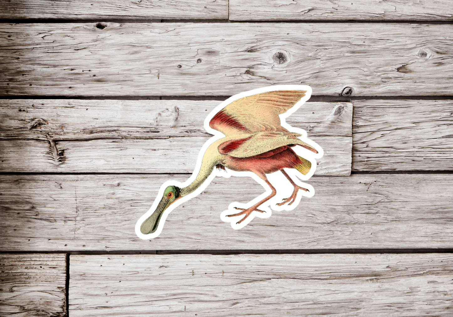 Roseate Spoonbill Sticker