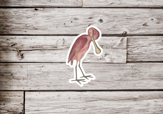 Roseate Spoonbill Sticker