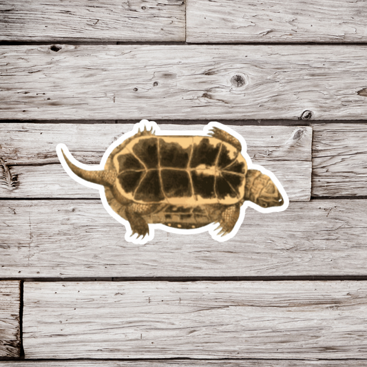 Spotted Turtle Bottom Sticker