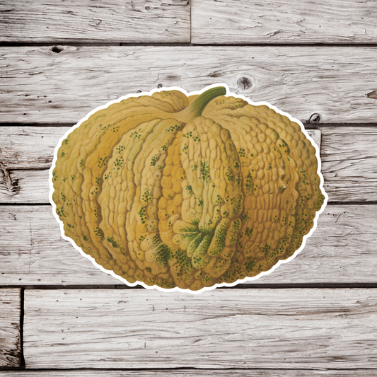 Squash Sticker