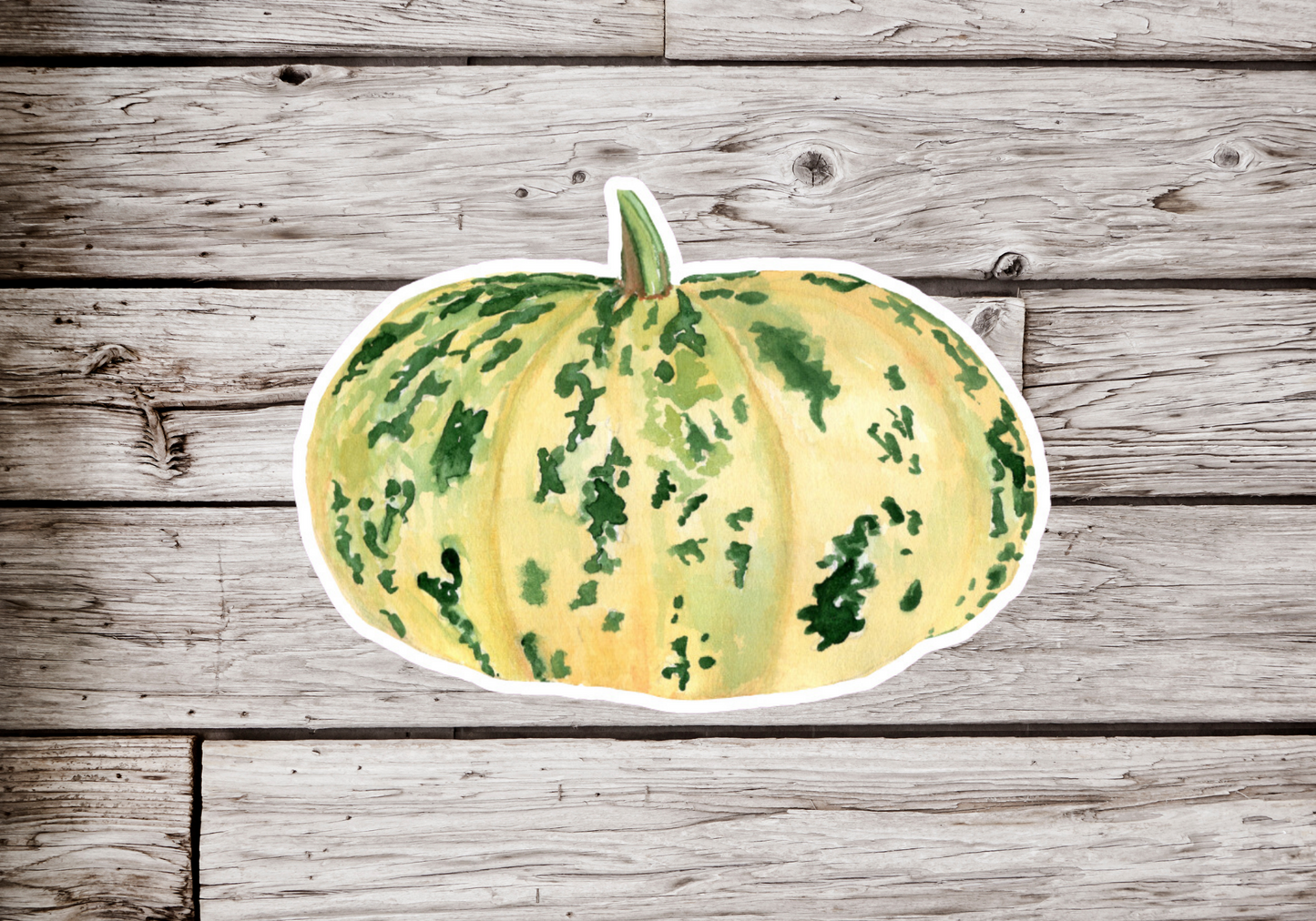 Squash Sticker