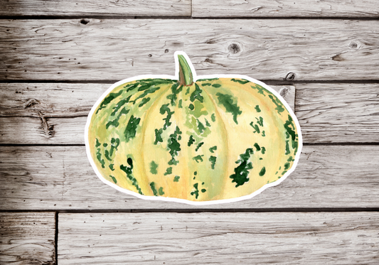 Squash Sticker