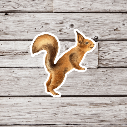 Squirrel Sticker