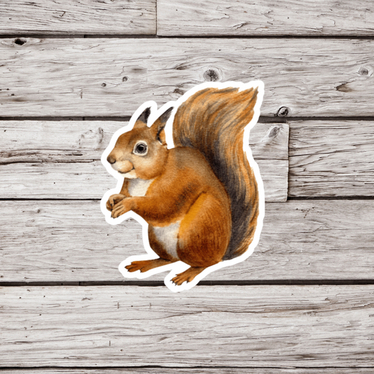 Squirrel Sticker