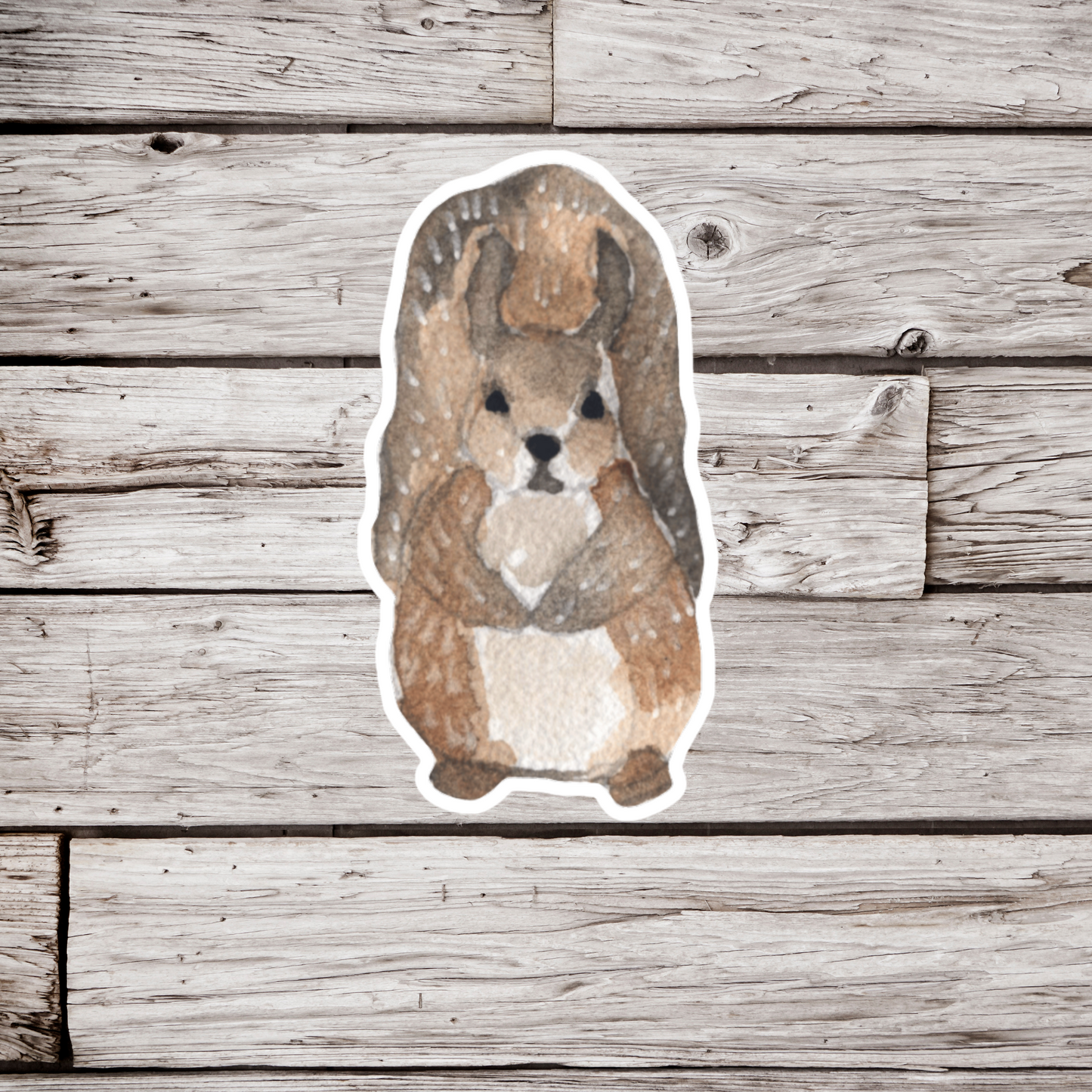Squirrel Sticker