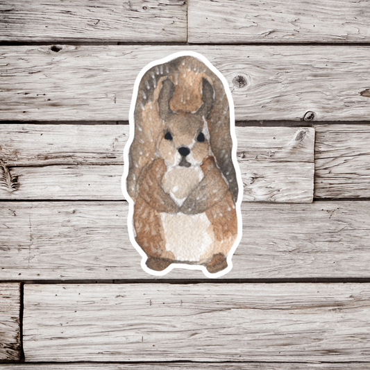 Squirrel Sticker